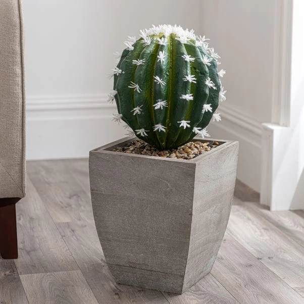 Dunelm Cactus In Wood Planter 2 Dunelm Cactus In Wood Planter - Image 2