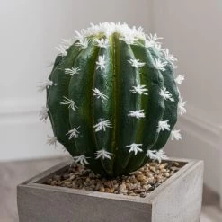 Dunelm Cactus In Wood Planter 6 Dunelm Cactus In Wood Planter -Decorative Discount Store 1000129814 alt02