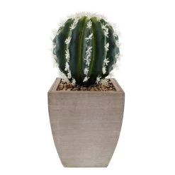 Dunelm Cactus In Wood Planter 7 Dunelm Cactus In Wood Planter -Decorative Discount Store 1000129814 alt03
