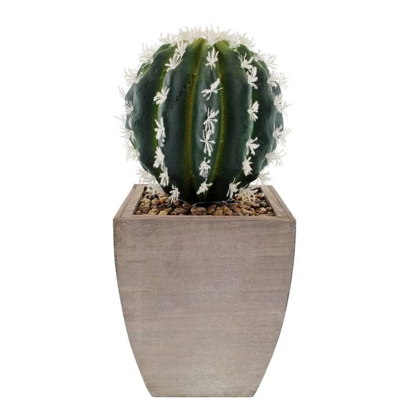 Dunelm Cactus In Wood Planter 4 Dunelm Cactus In Wood Planter - Image 4