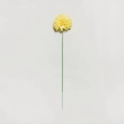 Dunelm Pack Of 12 Artificial Pompom Flower Yellow Stem 72cm -Decorative Discount Store 1000139958 alt02