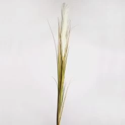 Dunelm Artificial Pampas Grass Single Spray 130cm -Decorative Discount Store 1000158295 alt01