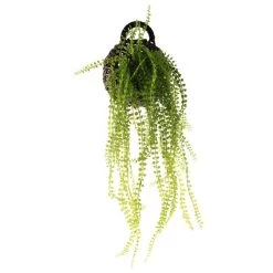 Dunelm Hanging String Of Pearls In Black Basket 5 Dunelm Hanging String Of Pearls In Black Basket -Decorative Discount Store 1000183202 alt02