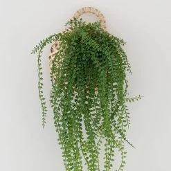 Dunelm Hanging String Of Pearls In Basket -Decorative Discount Store 1000183203 alt02