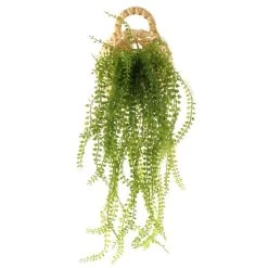 Dunelm Hanging String Of Pearls In Basket -Decorative Discount Store 1000183203 alt03