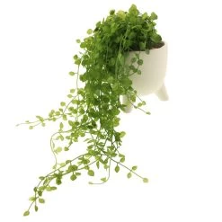 Dunelm Artificial Trailing Plant In Footed Pot -Decorative Discount Store 1000183211 alt03