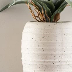 Dunelm Artificial Dracaena Plant In Pot -Decorative Discount Store 1000183214 alt02