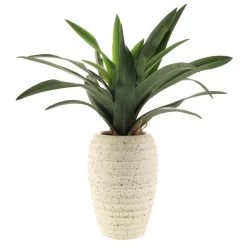 Dunelm Artificial Dracaena Plant In Pot -Decorative Discount Store 1000183214 alt03