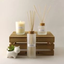 Dunelm Natural Chamomile Soy Wax Blend Candle Diffuser Set -Decorative Discount Store 1000183225 alt01