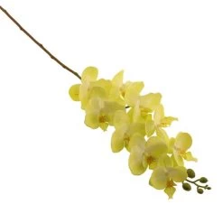 Dunelm Green Real Touch Phalaenopsis 3 Pack -Decorative Discount Store 1000184162 alt02