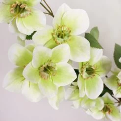 Dunelm Cream Real Touch Hellebore 3 Pack 4 Dunelm Cream Real Touch Hellebore 3 Pack -Decorative Discount Store 1000184171 alt01