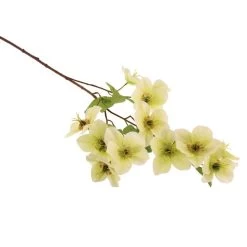 Dunelm Cream Real Touch Hellebore 3 Pack 5 Dunelm Cream Real Touch Hellebore 3 Pack -Decorative Discount Store 1000184171 alt02