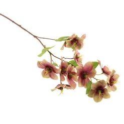 Dunelm Purple Real Touch Hellebore 3 Pack -Decorative Discount Store 1000184173 alt02