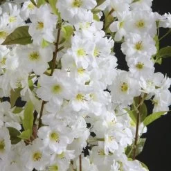 Dunelm Artificial White Blossom Tree 120cm -Decorative Discount Store 1000185131 alt02