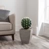 Dunelm Cactus In Wood Planter
