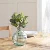 Dunelm Fittonia Green Bundle 30cm