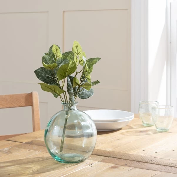 Dunelm Fittonia Green Bundle 30cm 1 Dunelm Fittonia Green Bundle 30cm