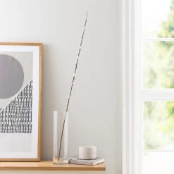 Dunelm Pussy Willow White Stem 100cm
