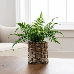 Dunelm Artificial Fern Green In Rattan Pot 30cm