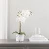 Dunelm Artificial Orchid Cream In Marble Pot 56cm