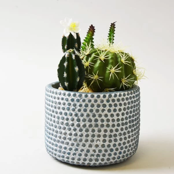 Dunelm Artificial Cactus Green In Textured Pot 19cm 1 Dunelm Artificial Cactus Green In Textured Pot 19cm