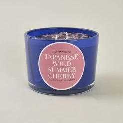 Dunelm Two Wick Pot Japan