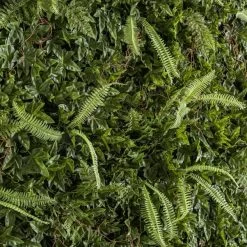 Dunelm Green Ivy Fern Panel -Decorative Discount Store 30682818 alt02