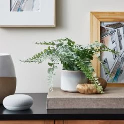 Dunelm Artificial Frosted Fern In Reactive Ceramic Pot 30cm