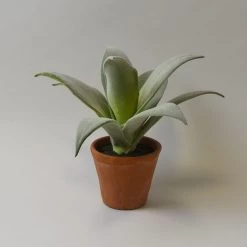 Dunelm Open Succulent Terracotta Pot 22cm