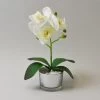 Dunelm White Orchid In Silver Glass Pot 26cm