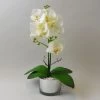 Dunelm White Orchid In Silver Glass Pot 40cm