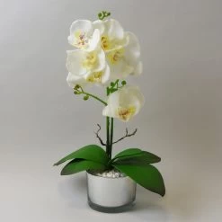 Dunelm White Orchid In Silver Glass Pot 40cm