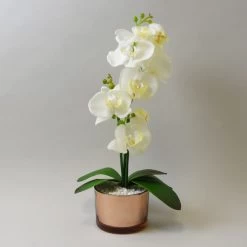 Dunelm Cream Orchid In Gold Glass Pot 40cm