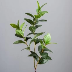 Dunelm Lemon Leaf In Concrete Pot 59cm -Decorative Discount Store 30724505 alt01