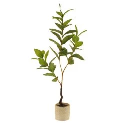 Dunelm Lemon Leaf In Concrete Pot 59cm -Decorative Discount Store 30724505 alt04