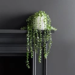 Dunelm Trailing Eucalyptus In Textured Pot