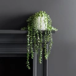 Dunelm Trailing Eucalyptus In Textured Pot 7 Dunelm Trailing Eucalyptus In Textured Pot -Decorative Discount Store 30724513 alt02