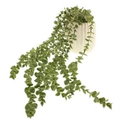 Dunelm Trailing Eucalyptus In Textured Pot 9 Dunelm Trailing Eucalyptus In Textured Pot -Decorative Discount Store 30724513 alt05