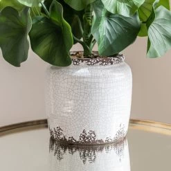 Dunelm Lotus In Ceramic Pot -Decorative Discount Store 30724516 alt01