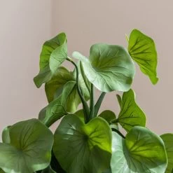 Dunelm Lotus In Ceramic Pot -Decorative Discount Store 30724516 alt02