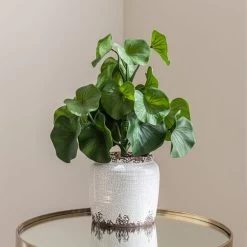 Dunelm Lotus In Ceramic Pot -Decorative Discount Store 30724516 alt03