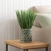 Dunelm Sword Grass In Ceramic Pot 38cm