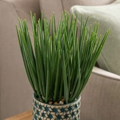 Dunelm Sword Grass In Ceramic Pot 38cm -Decorative Discount Store 30724518 alt01
