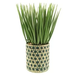 Dunelm Sword Grass In Ceramic Pot 38cm -Decorative Discount Store 30724518 alt02