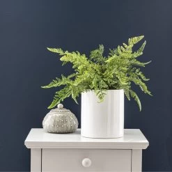 Dunelm Fern In Ceramic Pot 45cm