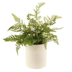 Dunelm Fern In Ceramic Pot 45cm -Decorative Discount Store 30724522 alt03