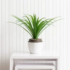 Dunelm Dracaena In Ceramic Pot 42cm 8 Dunelm Dracaena In Ceramic Pot 42cm -Decorative Discount Store 30724523 alt03