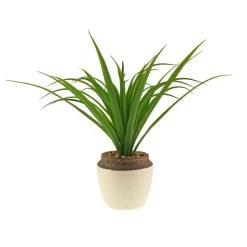 Dunelm Dracaena In Ceramic Pot 42cm 9 Dunelm Dracaena In Ceramic Pot 42cm -Decorative Discount Store 30724523 alt04