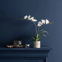 Dunelm Cream Orchid In Cement Pot