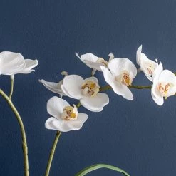 Dunelm Cream Orchid In Cement Pot -Decorative Discount Store 30724535 alt02